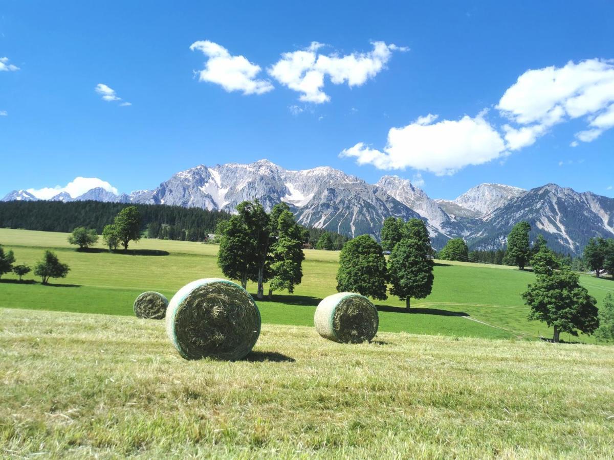 Biobauernhof Brandlhof Apartment Ramsau am Dachstein Exterior foto