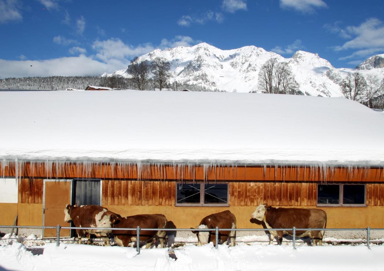 Biobauernhof Brandlhof Apartment Ramsau am Dachstein Exterior foto