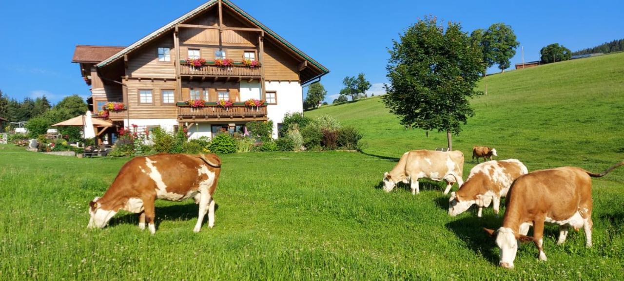 Biobauernhof Brandlhof Apartment Ramsau am Dachstein Exterior foto